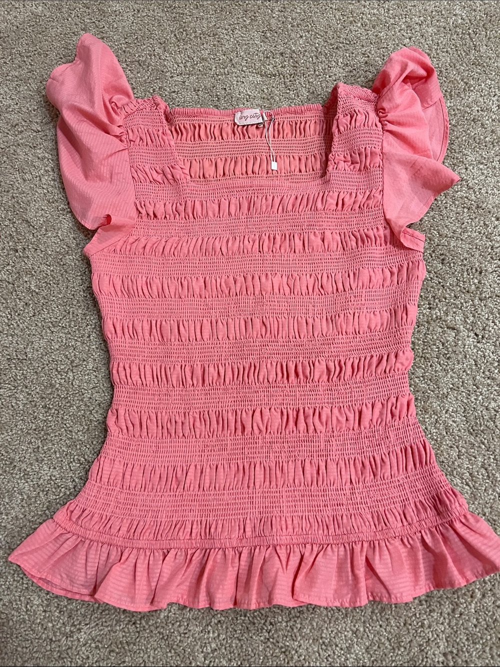 Ivy City Co Pink Smocked Ruffle Sleeve Blouse